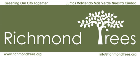 http://gallery.mailchimp.com/5bf39de69917bce68b05ba0e0/images/newsletter_logo_1.jpg